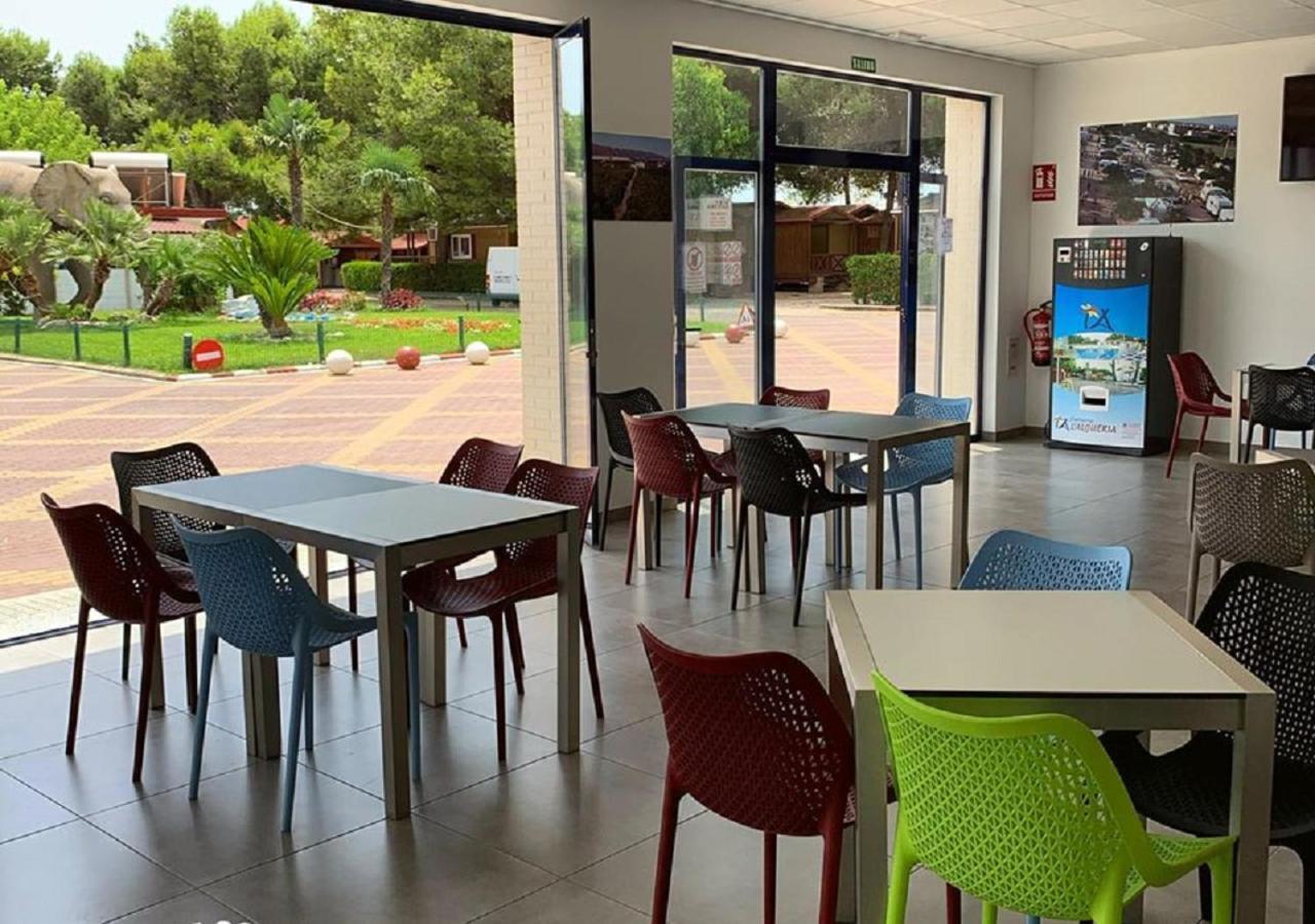 Camping L'Alqueria Gandia Bagian luar foto