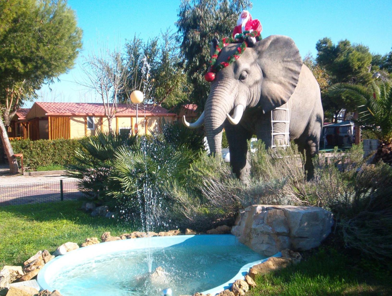 Camping L'Alqueria Gandia Bagian luar foto