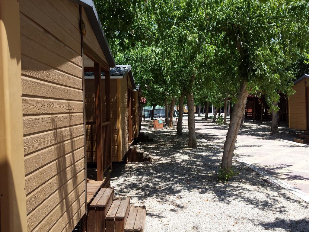 Camping L'Alqueria Gandia Bagian luar foto